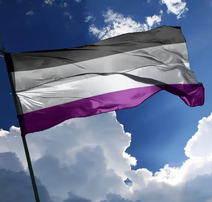 drapeau asexuel