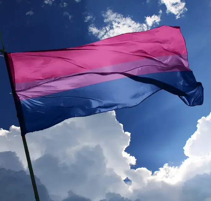 drapeau bi bisexuel