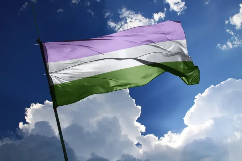 drapeau genderqueer